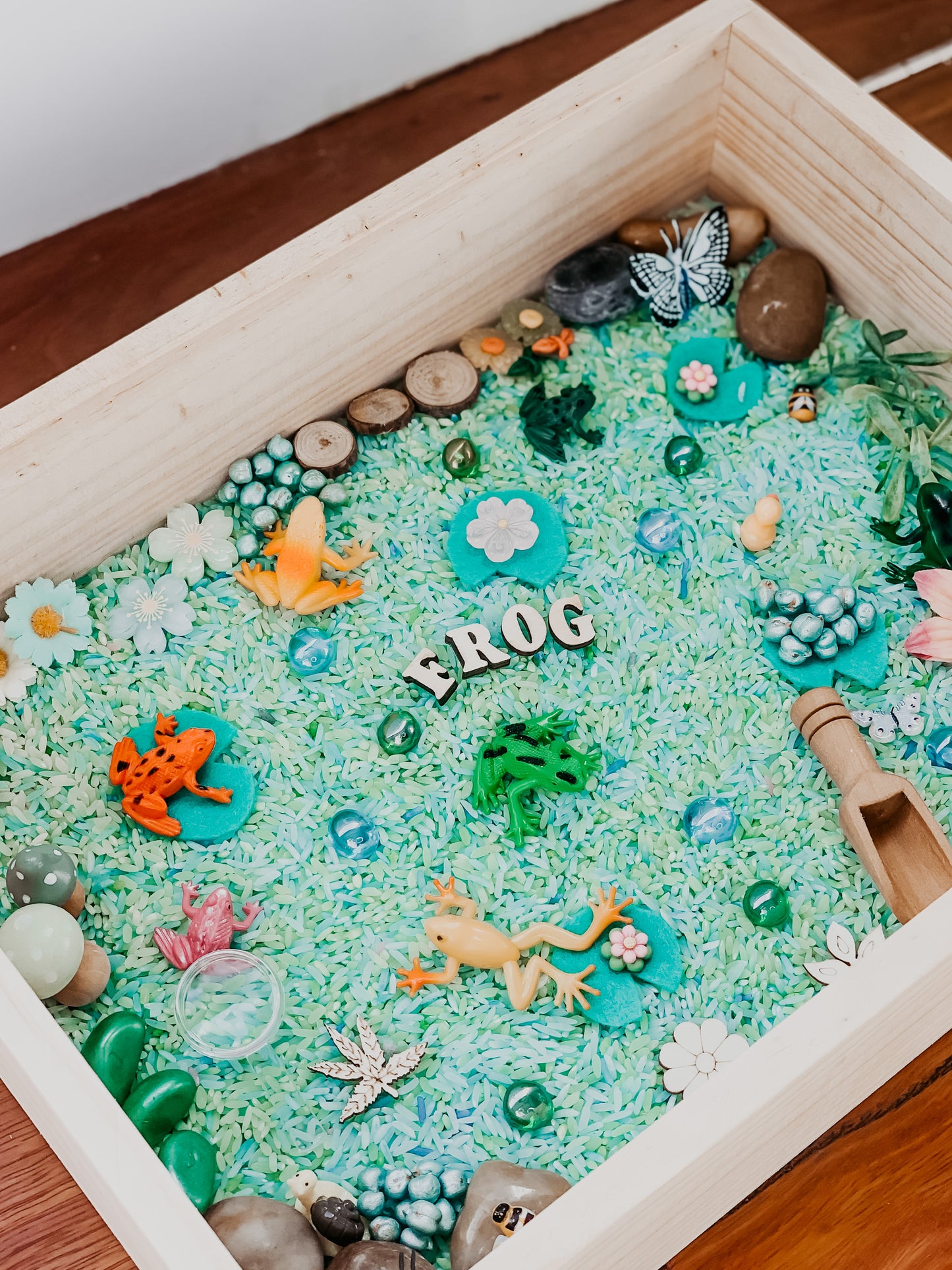 Froggie pond sensory kit