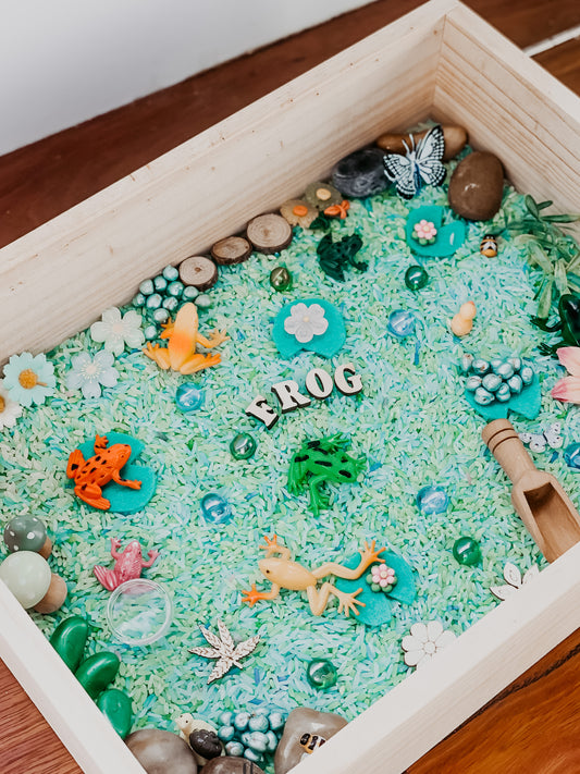 Froggie pond sensory kit