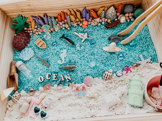 By the Ocean/ Sea/ Beach sensory kit