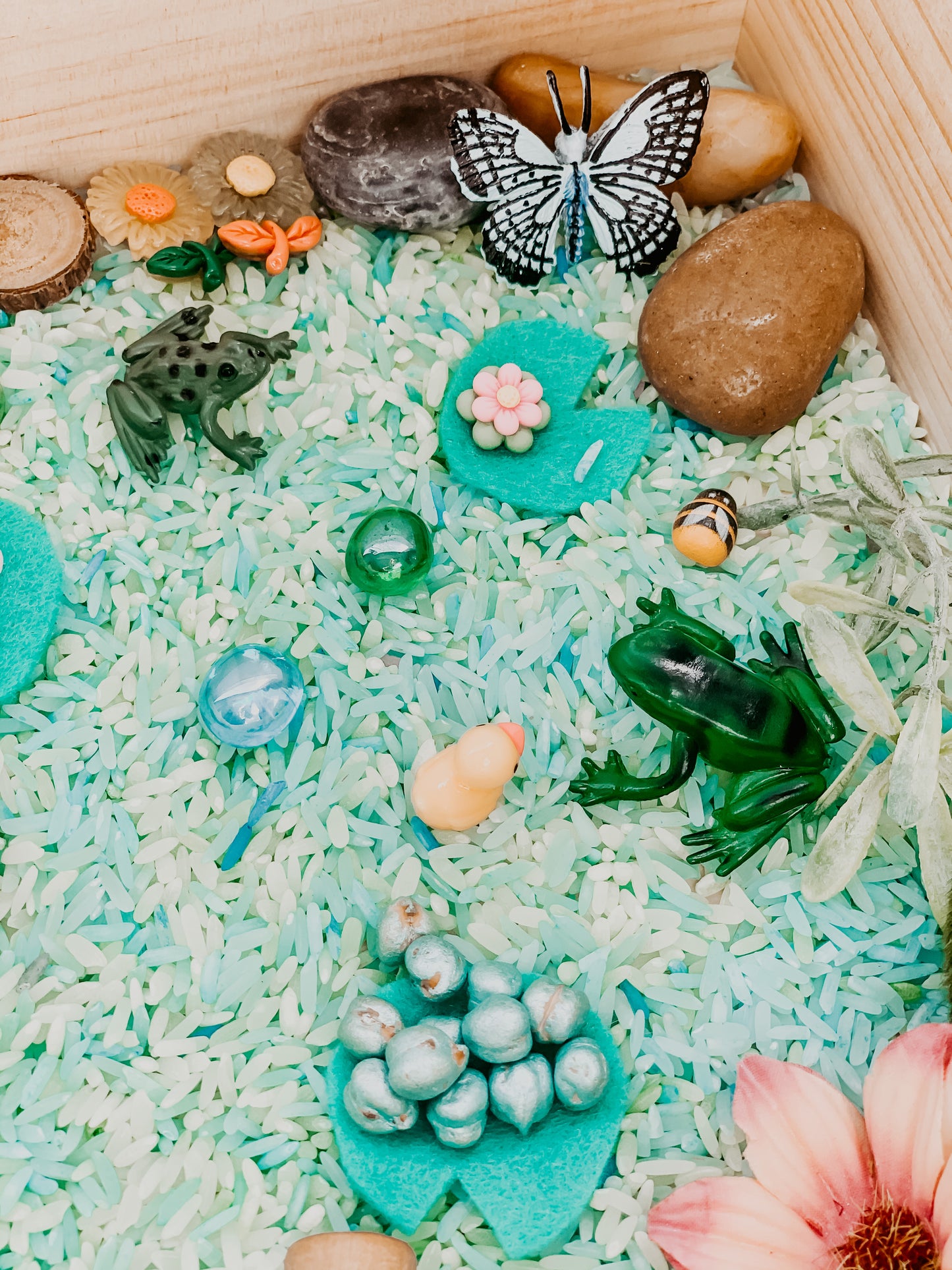 Froggie pond sensory kit