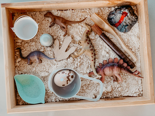 Dino dig sensory kit- toddler safe!