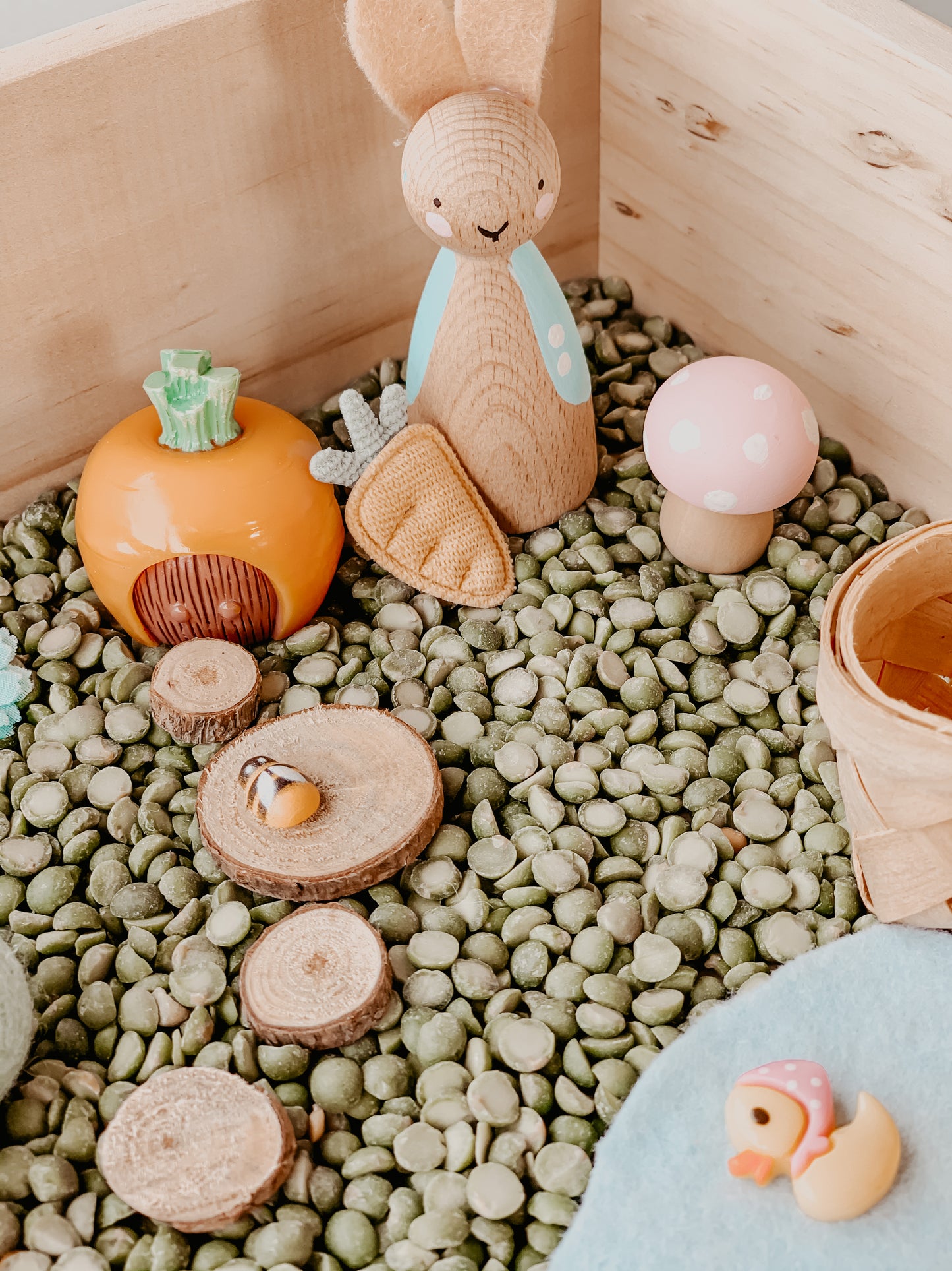 Easter collection- Peter Rabbit sensory kit