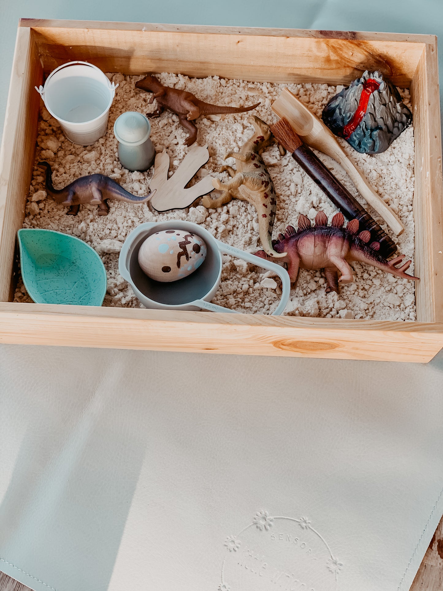 Dino dig sensory kit- toddler safe!